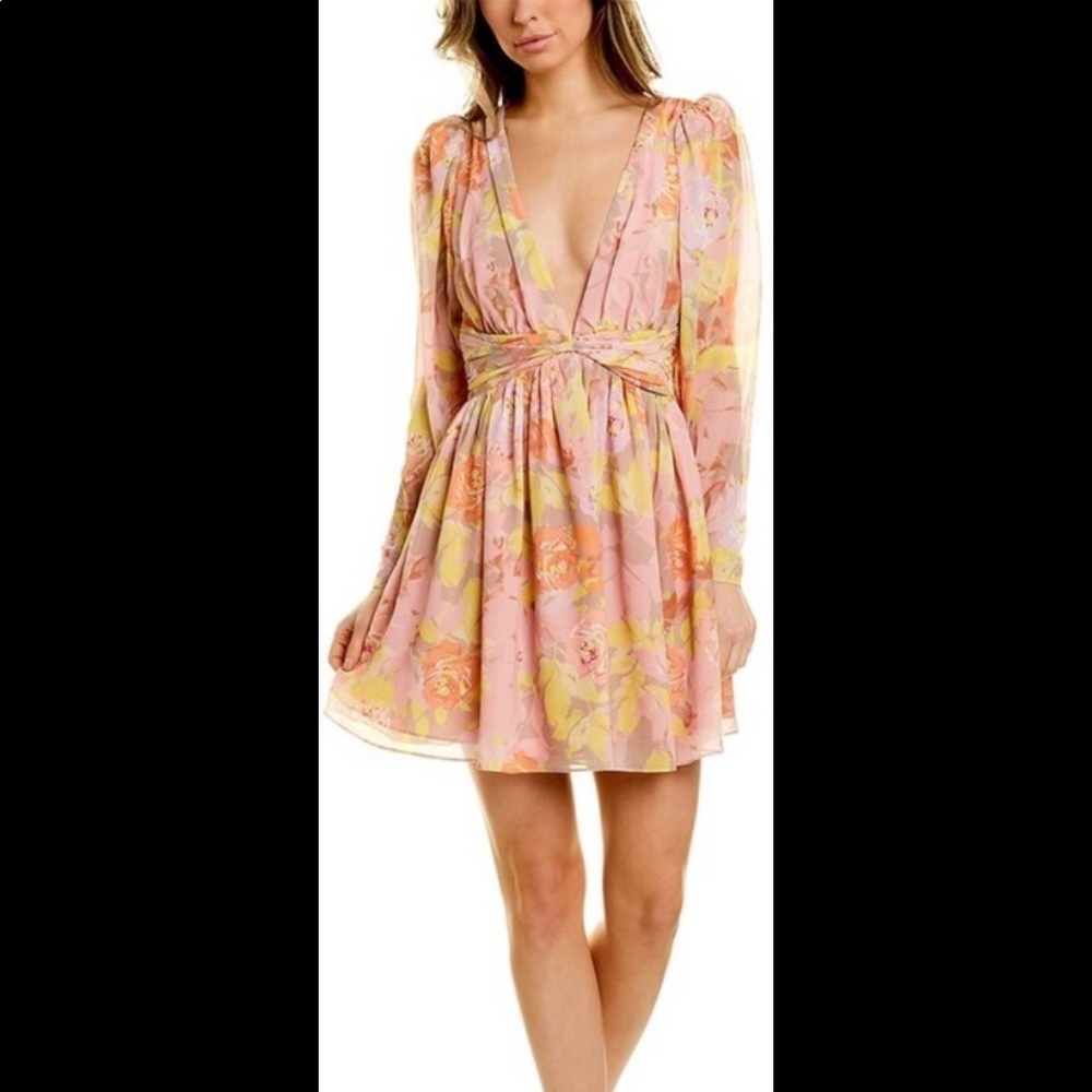 Ronny Kobo Alyson Floral Chiffon Dress Size Small